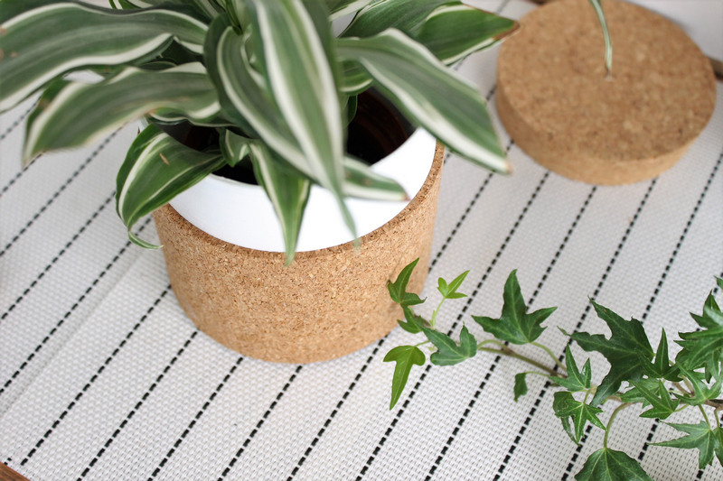 עציץ שעם - עשה זאת בעצמך 